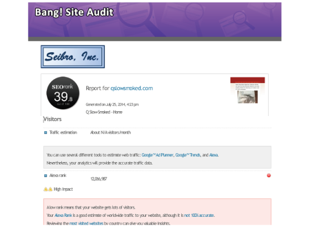 Bang Site Audit